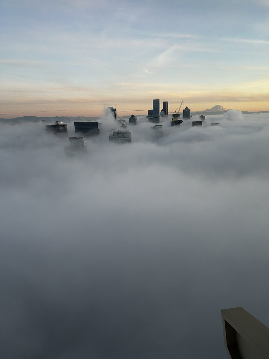 NftGoody's tweet image. Got my head in the clouds but my gravity centered
This years been an absolute mission 
No better place to be for a man than on one