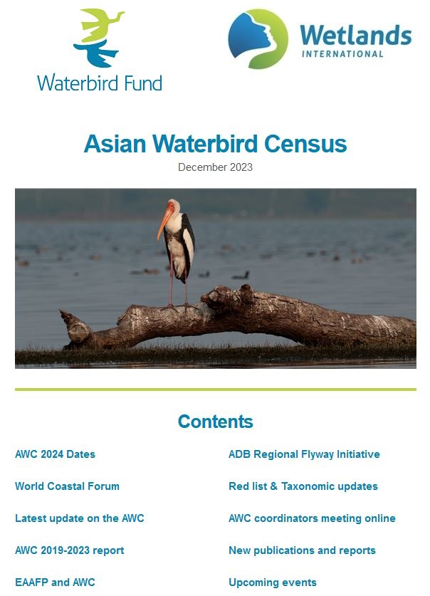 Publication alert! 🦩🦆🦢 Latest #AsianWaterbirdCensus Newsletter published - info packed as always. Check it out on tinyurl.com/bdet9y9x #WaterbirdCounts #waterbirds #wetlands #monitoring #conservation #CentralAsianFlyway #EAAF #AWC #IWC #WorldCoastalForum #ADB @WetlandsInt