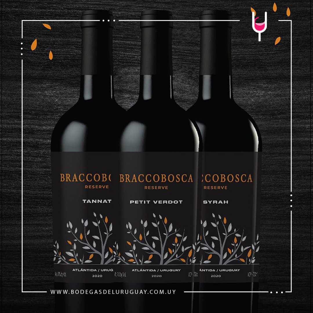 Nueva línea Reserva de BraccoBosca con mayor protagonismo del terroir Los denominan Single Block, ya que provienen de las mejores secciones dentro de las parcelas, y los conforman tres varietales: Syrah, Petit Verdor y Tannat. bodegasdeluruguay.com.uy/short/KqKsG425…