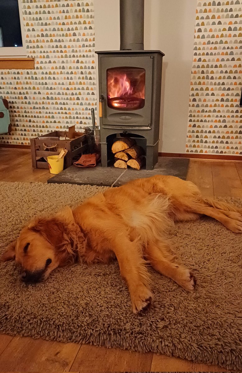 Signing off for the year. Time to chill and spend time with family and friends (and the dog). Wishing all our clients, collaborators and colleagues a restful festive break and very best wishes for the New Year. Slainte