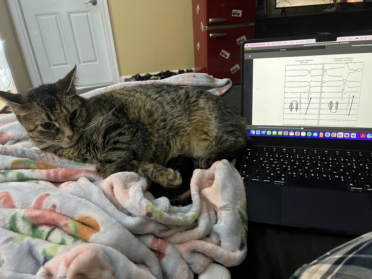 EGMs with my study partner #Epeeps