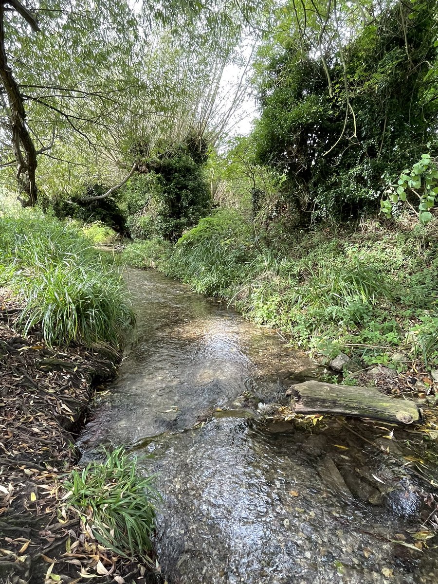 Delightful afternoon out with @drwilliambird, talking community and a panoply of topics - #GreenSocialPrescribing, #natureconnection, #volunteering, #activetravel - what a great way to end the year. 💚