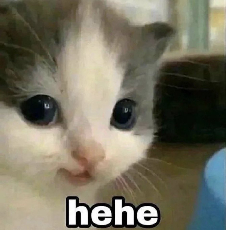 the goal is to eventually work for myself 

steps are being taken and working towards this goal everyday