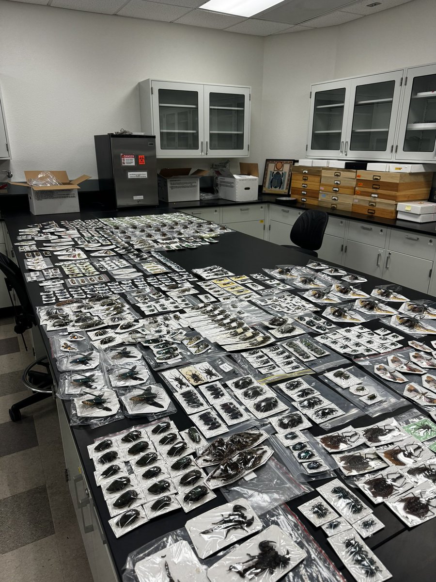 Weidner Lab tweet media