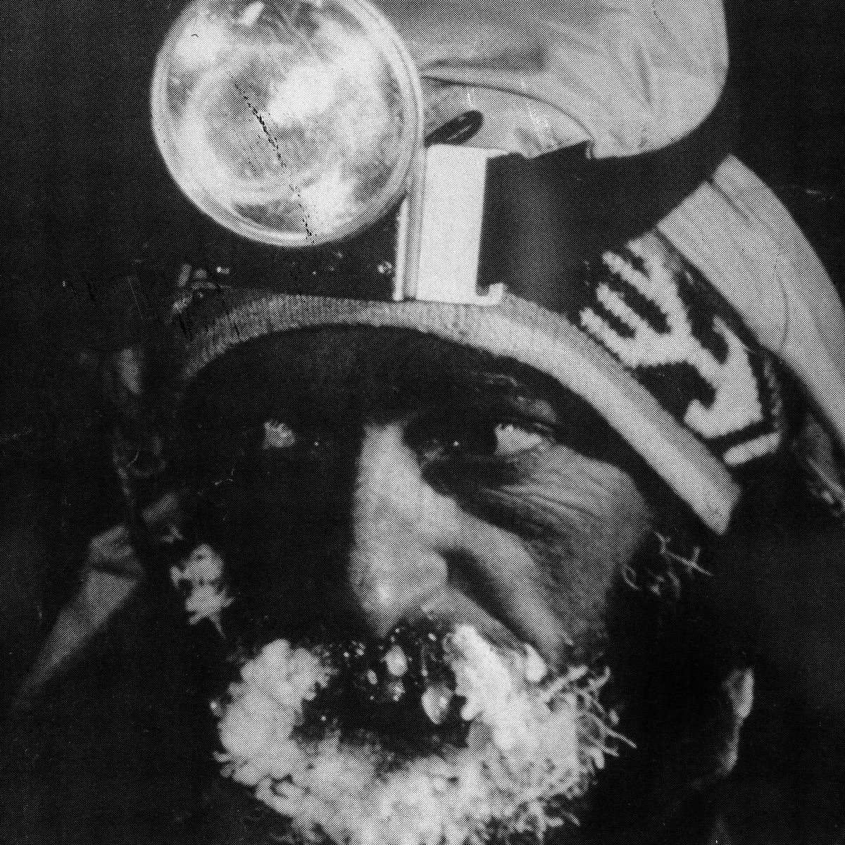 DODO EP JETZT STREAMEN
🦅🦅🦅
metrickz.lnk.to/DODO