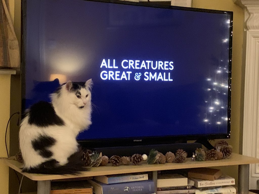 Well that was Christmas, all wrapped up in the warmth and charm of the Yorkshire Dales and the folk who live there. A hour of bliss. Ernie, our rescue cat is an avid fan - a fine feline, with exceptionally good taste. @AllCreaturesTV #AllCreaturesGreatAndSmall