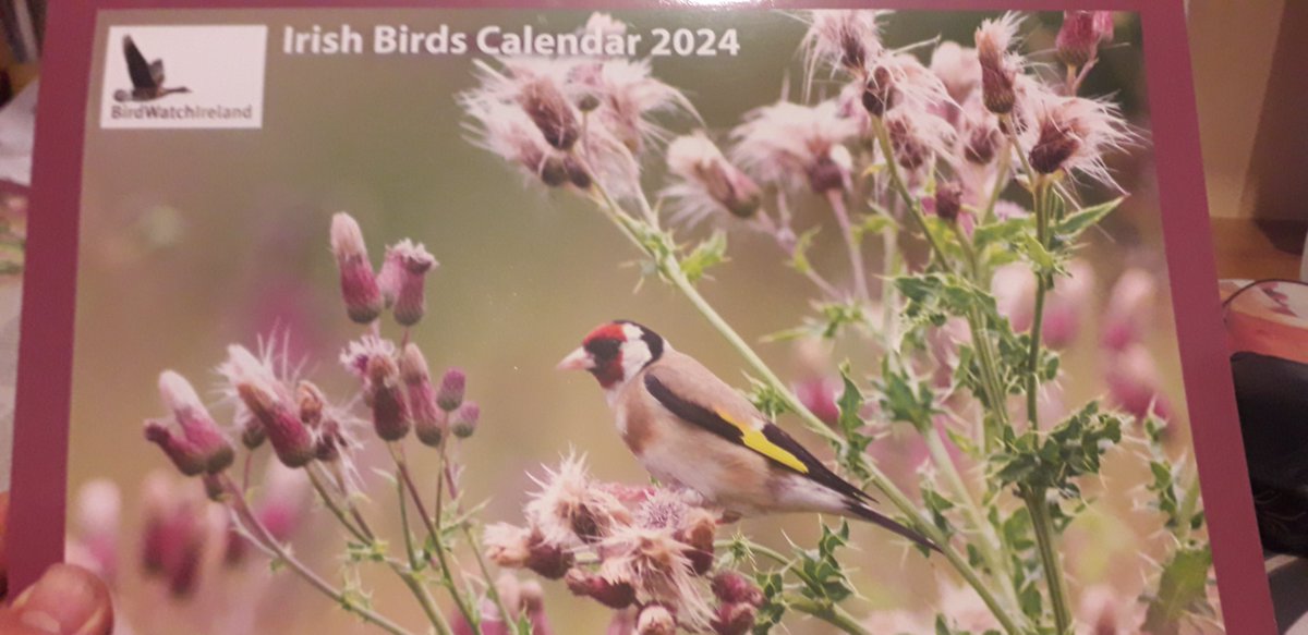 From little acorns...
As the project concludes, each of the 43 BRIDE farmers have been given a native Irish oak tree and a BWI calendar. Small token in recognition of their participation and effort into improving biodiversity in the Bride valley area of East Cork &amp; West Waterford