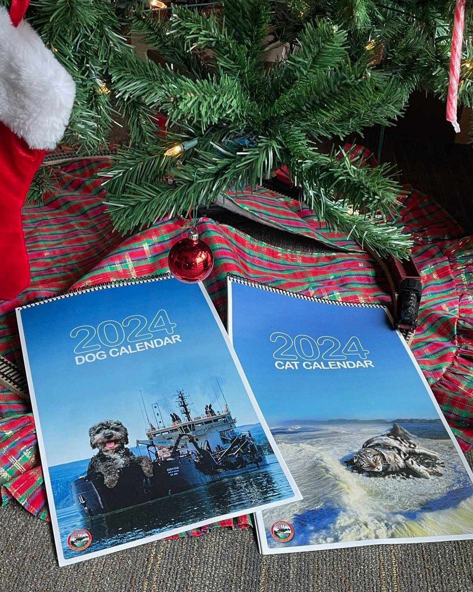 Just a little reminder that it's not too late to give the gift of “giant cats and dogs interacting with government infrastructure” this holiday season.

Download our free 2024 cat and dog calendars at petcalendar.us.