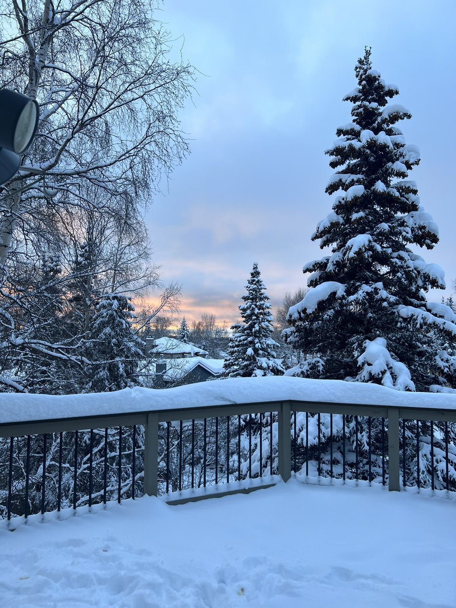 In case anyone wants to know what time the sun sets in Anchorage during winter solstice…

This was taken at 3:10pm.