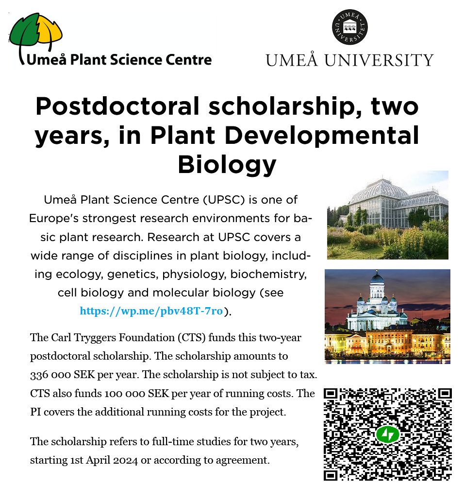 📢 2 Two years Postdoctoral Scholarship in Plant Developmental Biology 🌱🧬 at Umeå Plant Science Centre, Umeå University in Sweden🇸🇪:
The scholarship amounts to 336 000 SEK per year.  The scholarship is not subject to tax. CTS also funds 100 000 SEK per year of running costs.