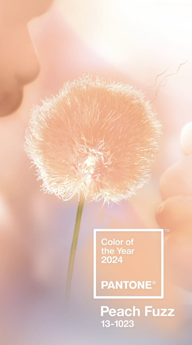 2024 팬톤컬러 Peach Fuzz🍑

보송보송 복숭아의 컬러와 질감을!! 후 불면 겨울바람을 타고 날아가 봄이 닿기를
16/8(16정사이즈)