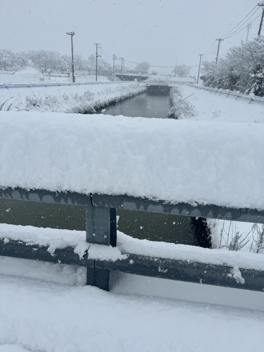 新潟は猛烈な雪です。モーレツ。。
Switchライトの液晶修理⛄️
なんと柏崎市からお持ち頂きました！ありがとうございます！

#にいがた #新潟 #新潟市 #江南区 #東区 #北区 #秋葉区 #南区 #新発田市 #五泉市 #阿賀野市 #スマホ買取 #スマホ修理 #イオンモール新潟南 #iPhone