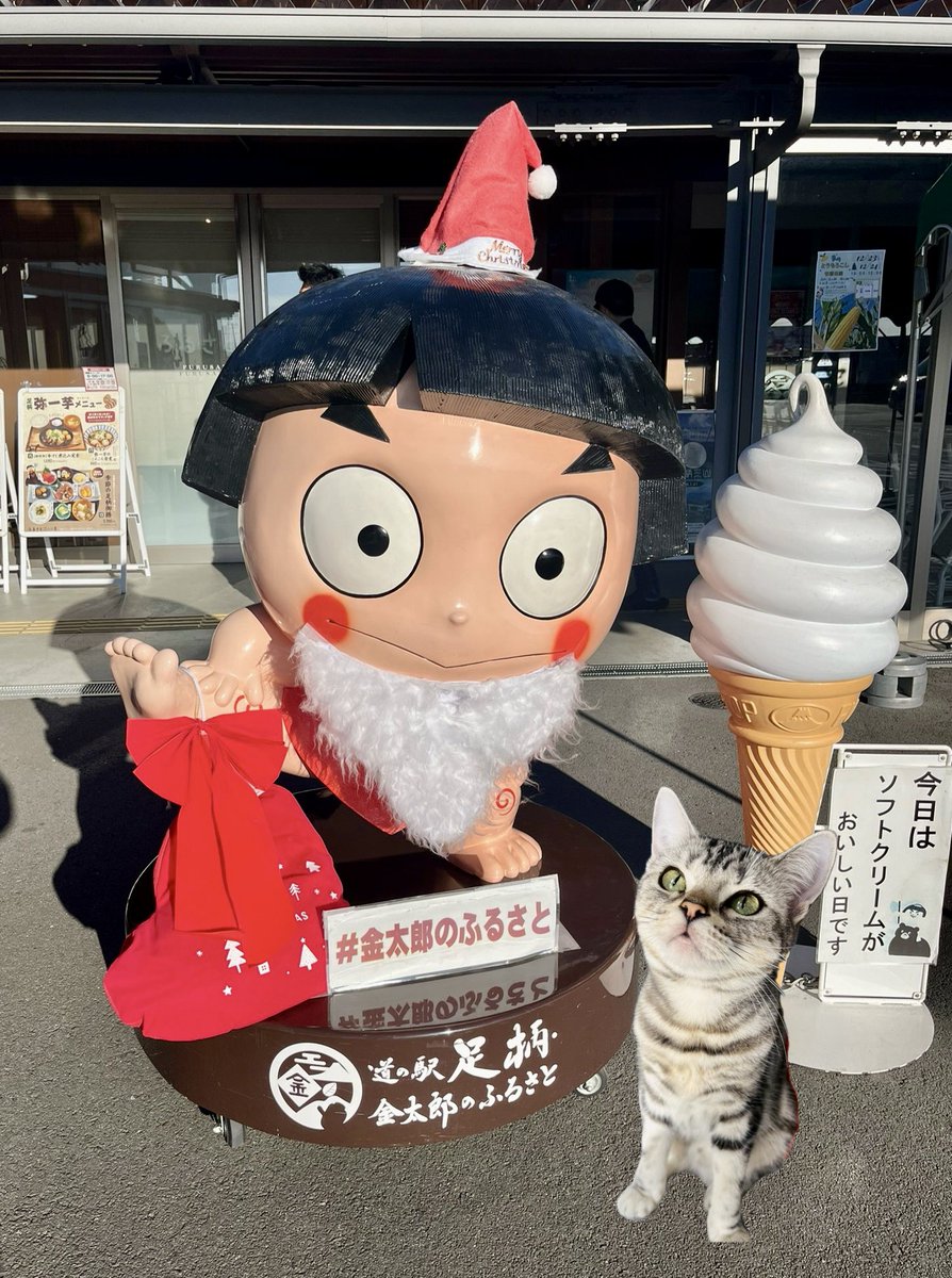 昨日は静岡に行ってきました。帰り便は無いので、混み混み下道をトコトコ🚐💦

愛知便も大阪便も🚛修理中で行けず、中途半端な年末を過ごす運送屋です😹

キンタローがサンタになってたニャ🐱