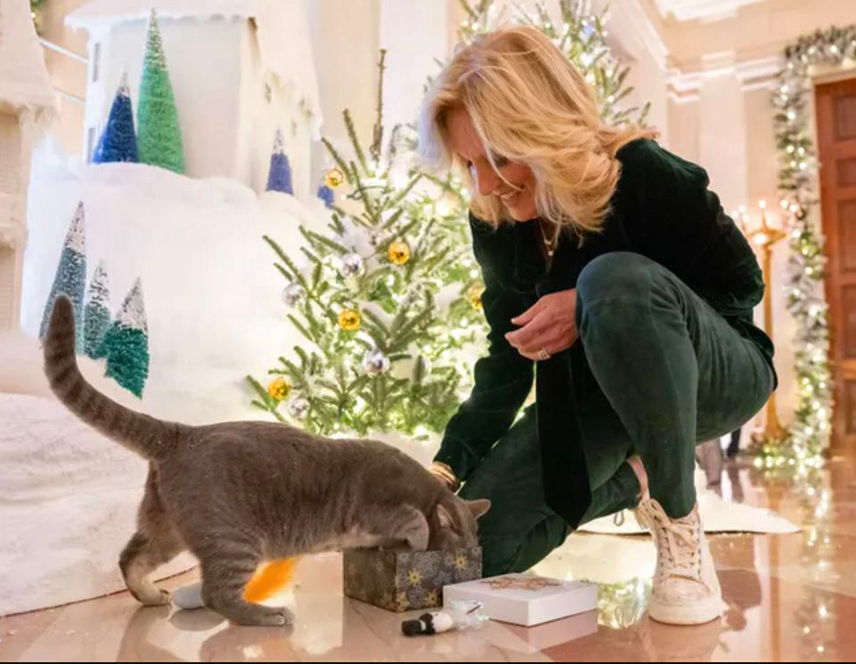 Willow and @FLOTUS gearing up for Christmas. Isn't it great to have warmth back in the White House?