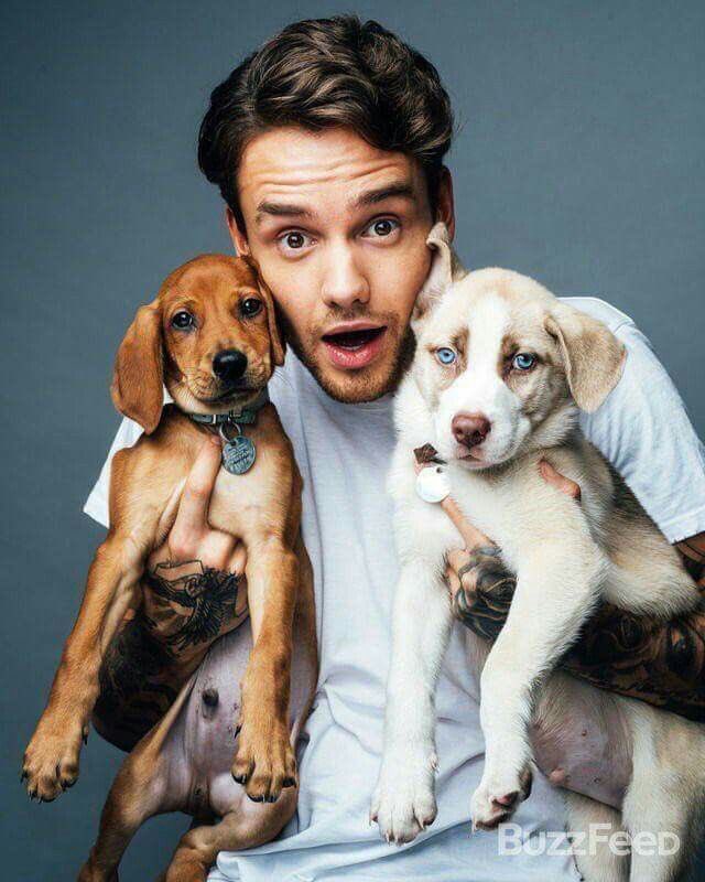 Lima with puppies 😭❤️🫶🏻
And I’m just gonna put this out here- I will defend Liam with my life. 
PLEASE see yourself out of my acc if you’re a hater. You ain’t welcome here. 
Anygays- all the love, as always 😂🫶🏻
#WeLoveYouLiam 
#FreeLiamPayne