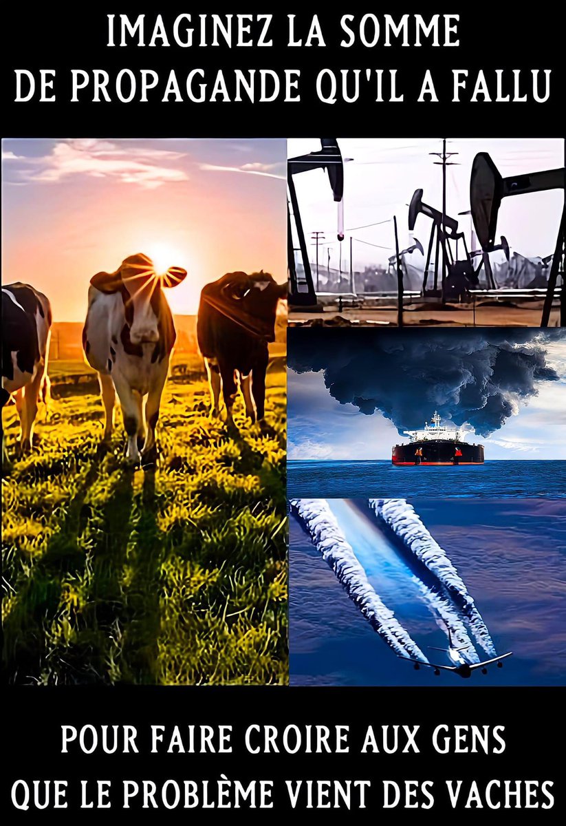 benoit_nmd's tweet image. 🤔🤦‍♂️