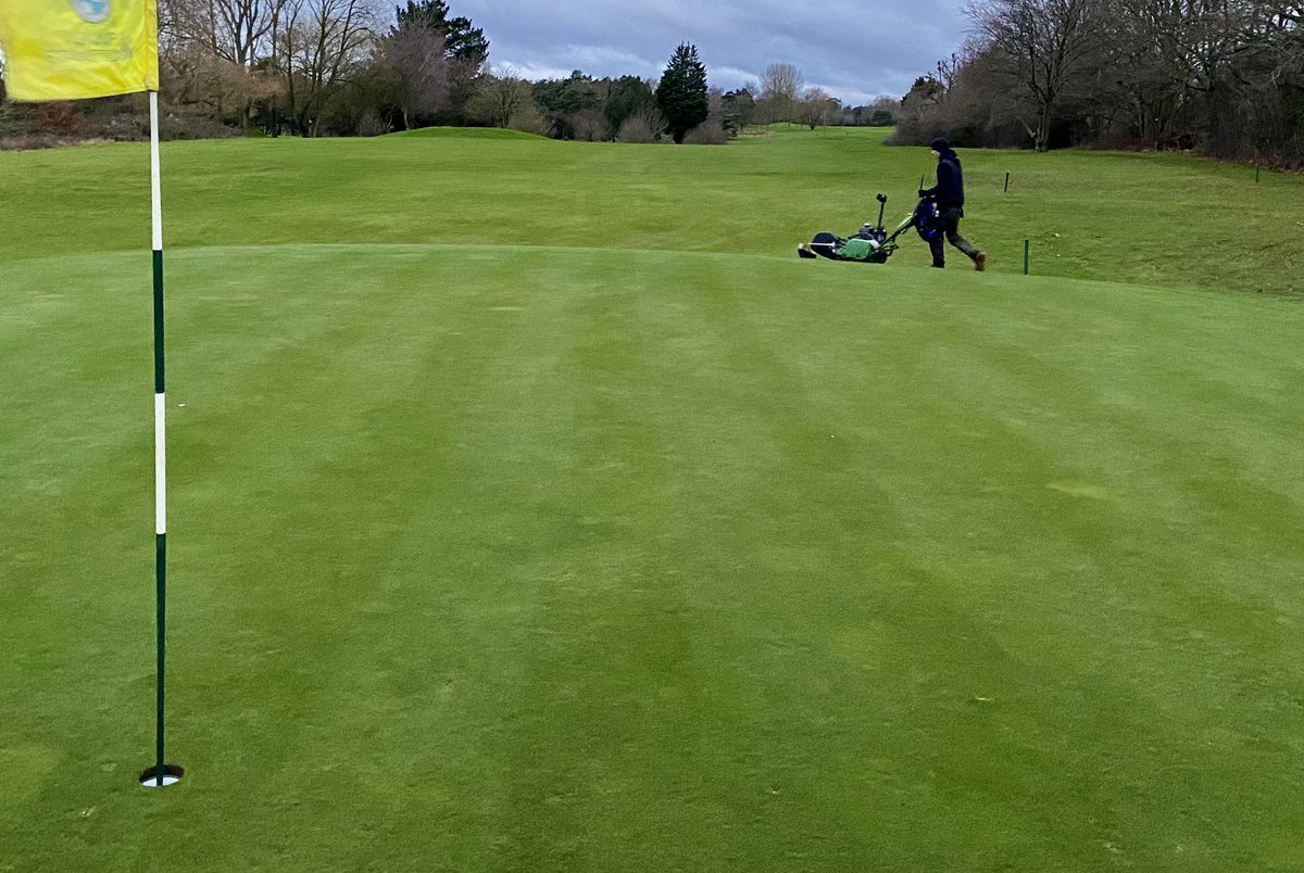 Greens, collars, approaches and tees all being hand cut this morning. Enjoy!