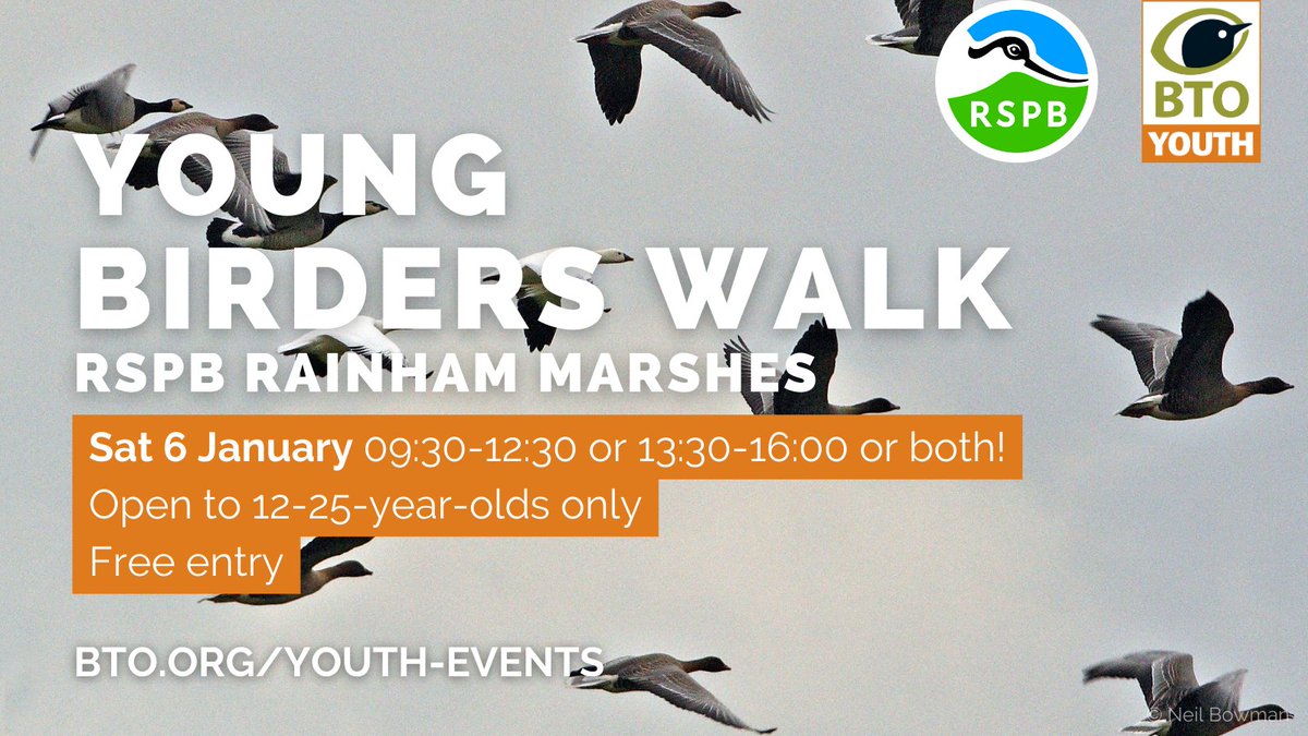#BTOYouth Volunteers @MyaBambrick1, @omphrese and @FinchleyBirder will be hosting more young birders walks around the gorgeous @RSPBRainham Marshes Nature Reserve! 🪿 More info and free tickets here: bit.ly/4aoVELh 🙌