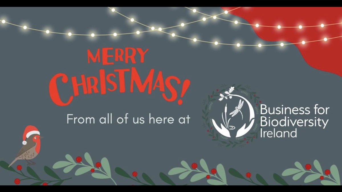 Wishing all our members, staff and colleagues a very merry Christmas. Let's make 2024 the year for action! #ItsNowForNature #JoinTheEvolution #BizBioIrl #MerryChristmas