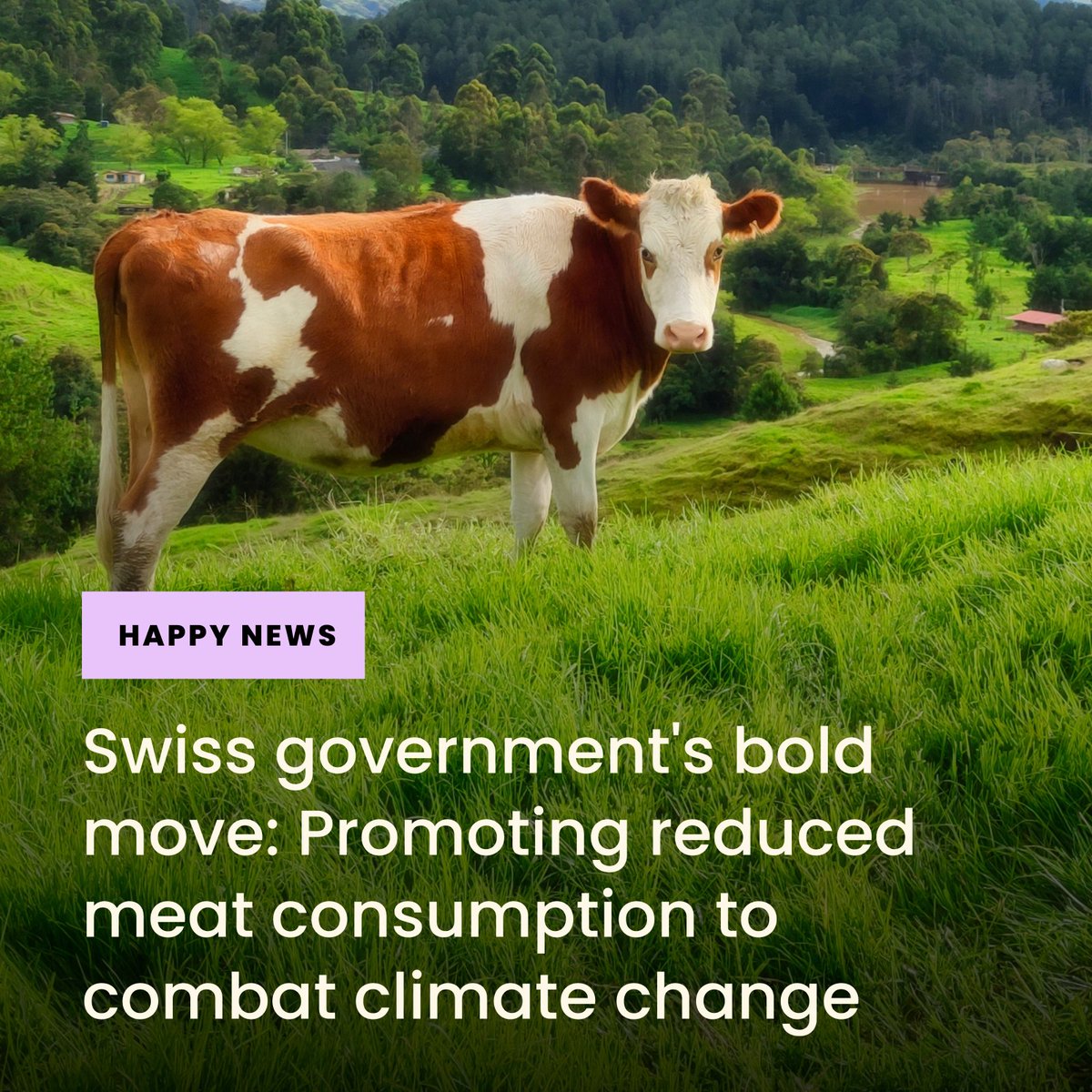 🌍 Switzerland takes a green leap! 🇨🇭 The new Climate Strategy for Agriculture and Food aims for a sustainable food system by 2050. 🌾 From cutting emissions to rethinking meat consumption, it's a collective effort. 🥦 #sustainability #climateaction #climatechange