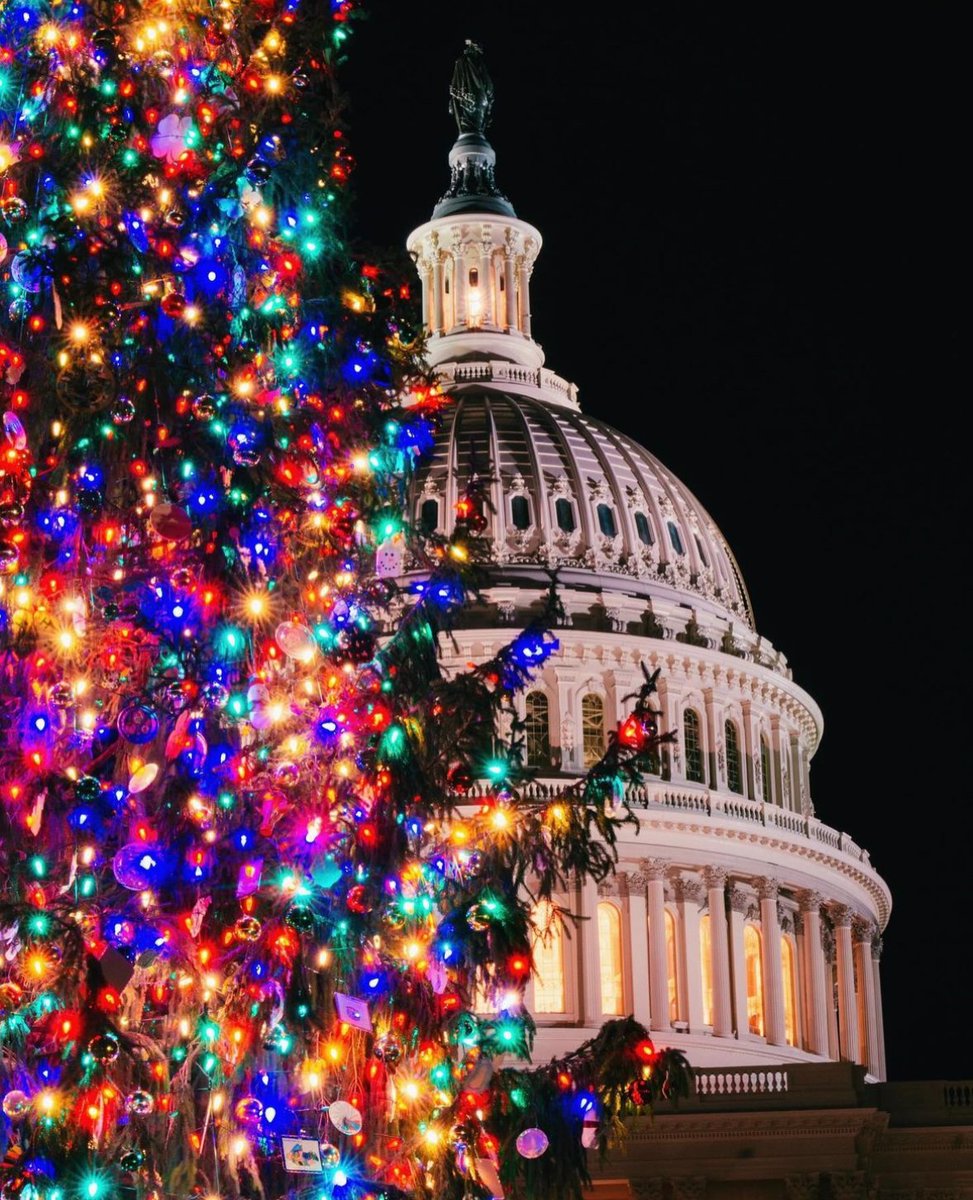 Merry Christmas, Washingtonians!⁠ Our city is sparkling!

📸: emerritt4 on IG
#WashMagPhoto