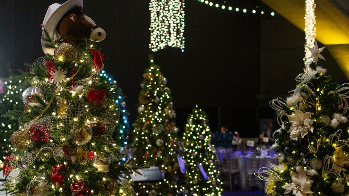 Festival of Trees tweet media