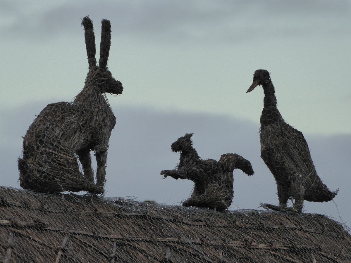 #WinterSolstice2023  and so the light slowly begins to seep back into our lives.

Welcomed by a roof-top hare, squirrel and duck trio in Cumnor.