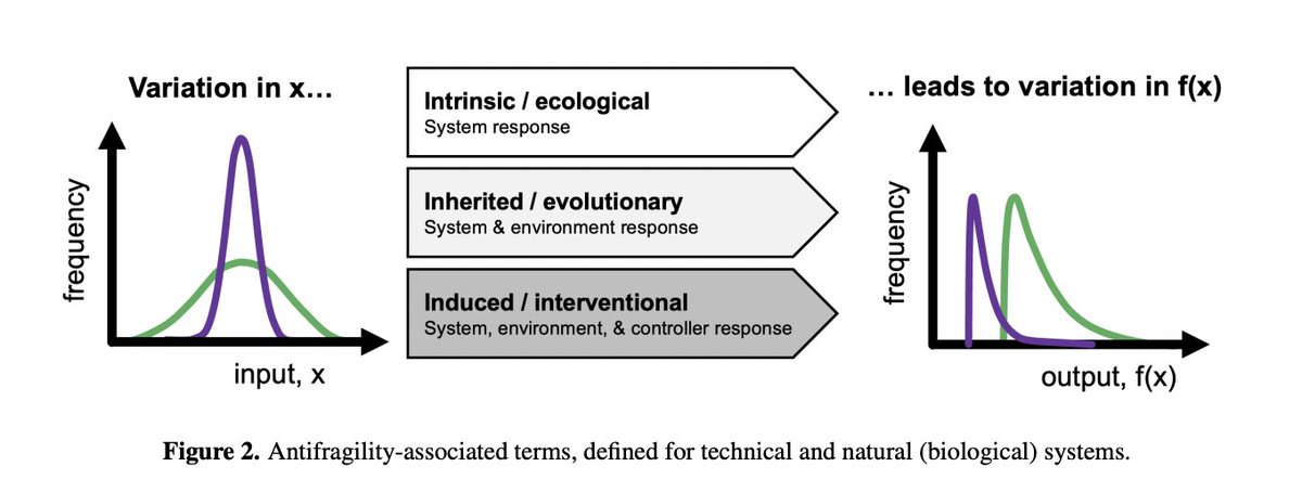 New #antifragility preprint: 'Antifragility as a complex system's response to perturbations, volatility, and time' wherein we define scales of @nntaleb's antifragility: arxiv.org/abs/2312.13991