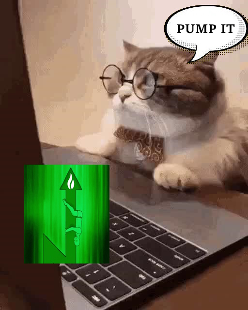 Dev is Cat tweet media