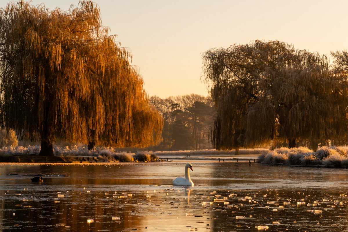 Happy Winter Solstice ❄️ ☀️ Make sure to get outside today, make use of every bit of daylight we have and when the night comes, know that tomorrow will be that little bit lighter 🙌🏻 📸 @LesleyAM13 #WinterSolstice