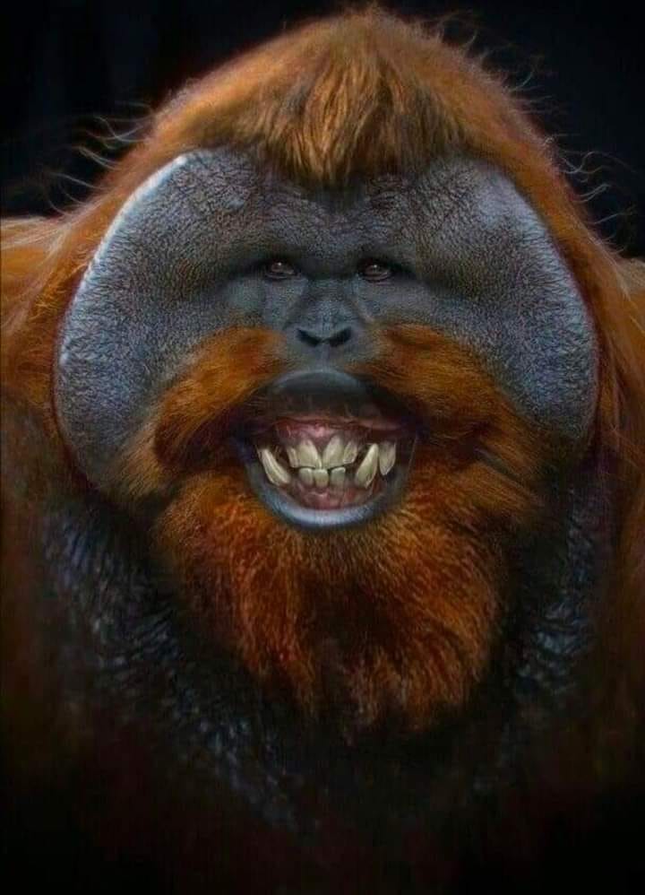 WildLoverZone tweet media