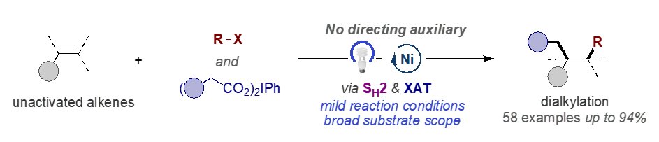 Our final submission of the year on <a href="/ChemRxiv/">ChemRxiv</a>. We show a new catalytic approach for directing group-free dialkylation of unactivated alkenes, via a combination of SH2 and XAT. Nice work by <a href="/congfei1/">Fei Cong</a> &amp; co-workers. chemrxiv.org/engage/chemrxi…