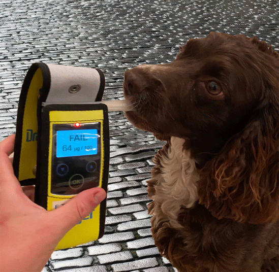 🐶 #WhatsTheCost | #DrinkORDrive 🐶

Someone is waiting for you at home; don't fail to arrive alive. 

#SaferRoads | #RoadSafety | #Sussex | #SafeRoadsForAll | #OpLimit