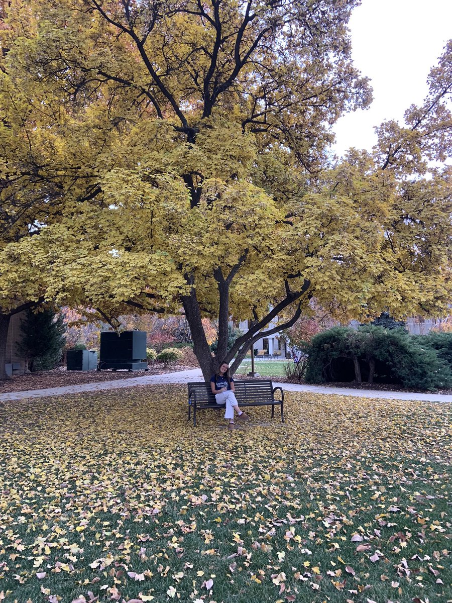 Brooklyn Call tweet media