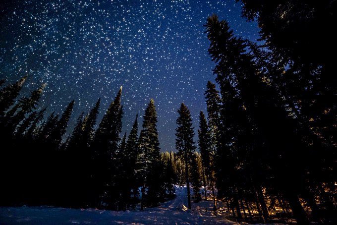 'I climb quickly against the cold winter wind, eyes on the ground ahead of me to avoid stumbling. Not until I have reached the top of the hill and turned to face the south where the stars are brightest do I look upwards, greeting them all.' C.R.Milne #WinterSolstice #LongestNight