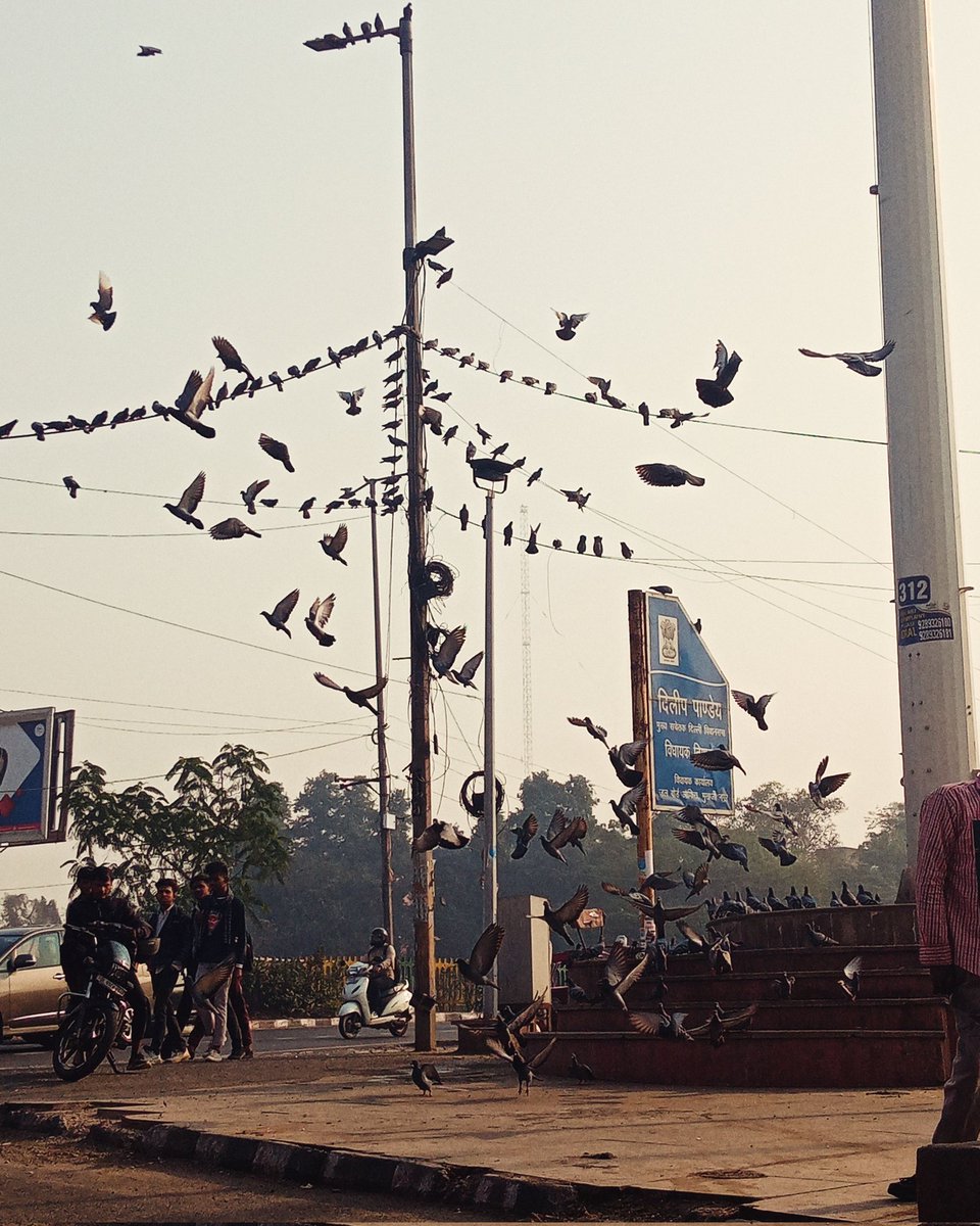 _elysian32's tweet image. 📍 Delhi

जहां जानें की ख्वाइश ना थी,
ईश्क तुमसे हो जाएगा,
सोचा ना था!

- दिल्ली 

Follow @ Instagram 
instagram.com/daretodream_bo…