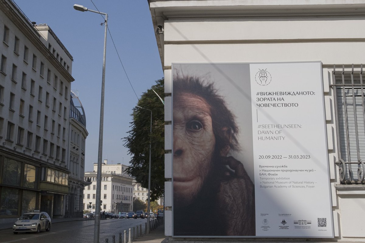 umagumag_'s tweet photo. Gm legends & happy friday 🤜💥🤛
I am very happy to be a part of the #Solana family at @exchgART with my #GENESIS piece.
"Evolutionary Tree" is one of my most important photographs for me. I took it in Sofia. The effect it created together with the article "The Dawn of Humanity" was very effective in my naming. But I leave the explanation to the viewer's perspective. 🥰📸
Btw, Many thanks to my dear brother @rzsnn_nft for helping me with the selection.
From Streets with Loves 🙋♂️
“Evolutionary Tree”
https://t.co/EErIAiuPoQ