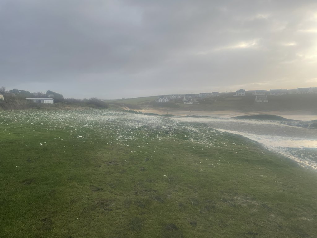 Here’s Treyarnon trying her best to look like an Andrew Wyeth but it’s sea foam not a dusting of snow …