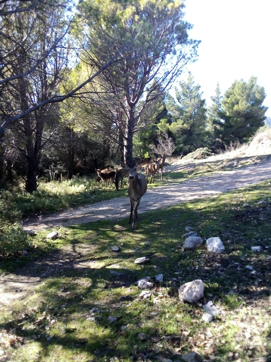 Καλημέρες όμορφες, αισιόδοξες, χαρούμενες, παντού!!! Το πνεύμα των Χριστουγέννων δεν είναι μόνο το στόλισμα του δέντρου, η ανταλλαγή δώρων, ένα πλούσιο γεύμα!! Το πραγματικό Χριστουγεννιάτικο πνεύμα είναι αγάπη και προσφορά στον συνάνθρωπο. Είναι σ' αγαπάω, συγγνώμη, ευχαριστω!