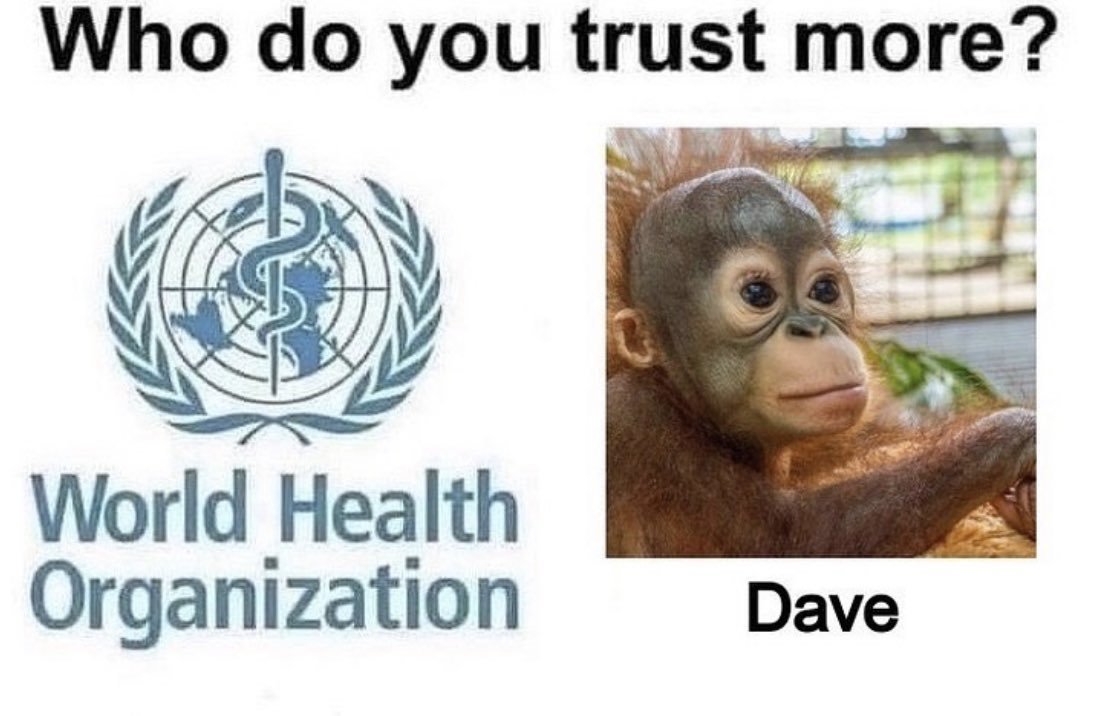 Dave