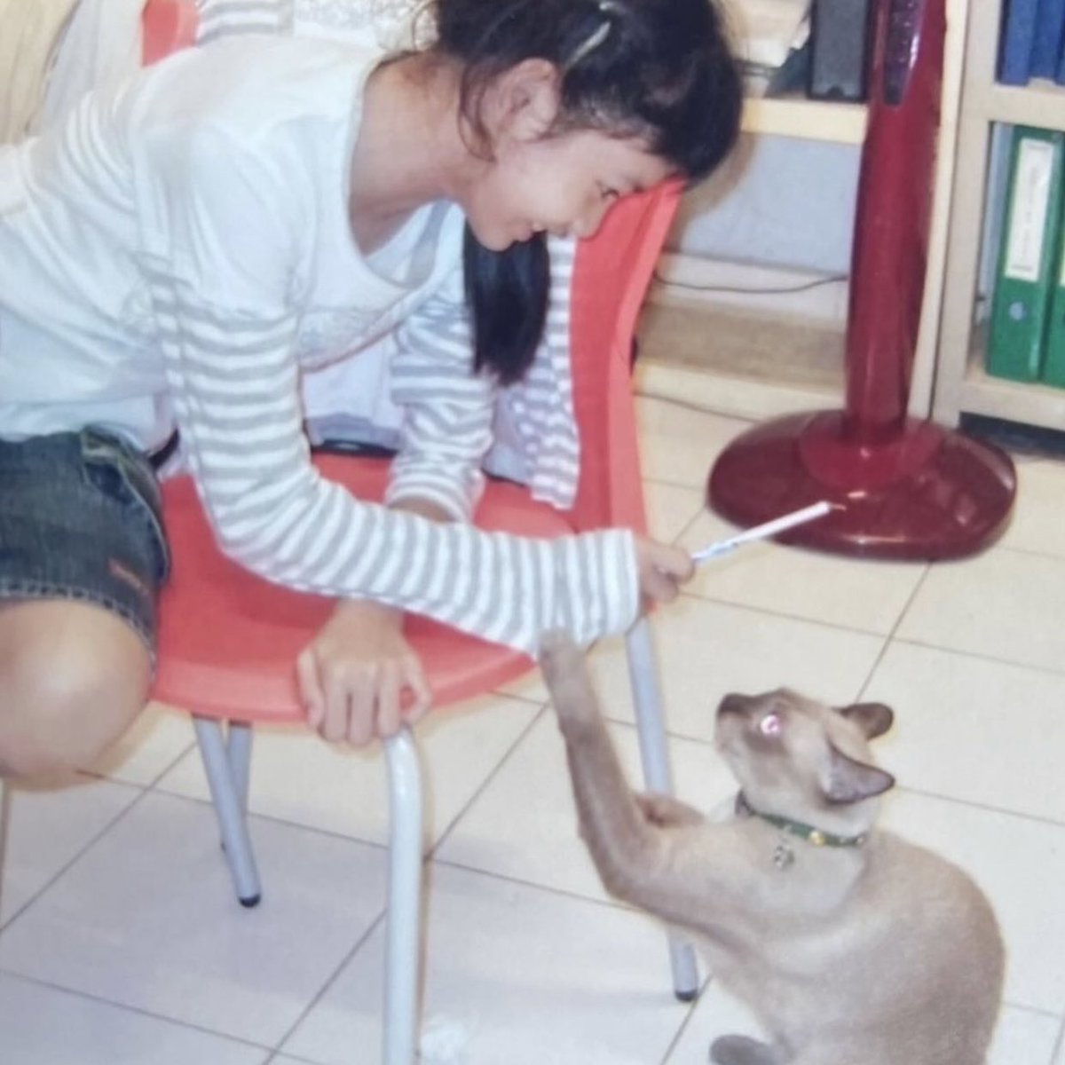 vousjay's tweet photo. ลิซ่า :
“โชคดีมากที่ได้กลับมาบอกลาเพื่อนซี้ที่โตมาด้วยกันทัน ขอบคุณที่รอ พี่เตอร์เป็นผู้ฟังที่ดีและไม่เคยทำให้วัยเด็กของเราเหงาเลย ขอบคุณที่อยู่ด้วยกันมาตลอด18ปี ไม่ต้องรออยู่อีกฝั่งนะ กลับดาวแมวไปเลยจ้า”

น้องลิซได้กลับมาทันดูแววตาพี่เตอร์บอกลาพี่เตอร์ เพื่อนซี้ที่ดีของน้อง🤍 https://t.co/j5RtQT70bd