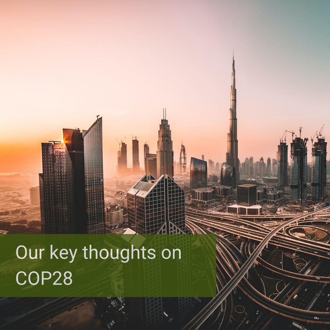 Now that the dust has settled on #COP28, we're sharing our key takeaways (good and bad) from the largest climate change talking shop on Earth.

nellie.tech/carboncapture-…