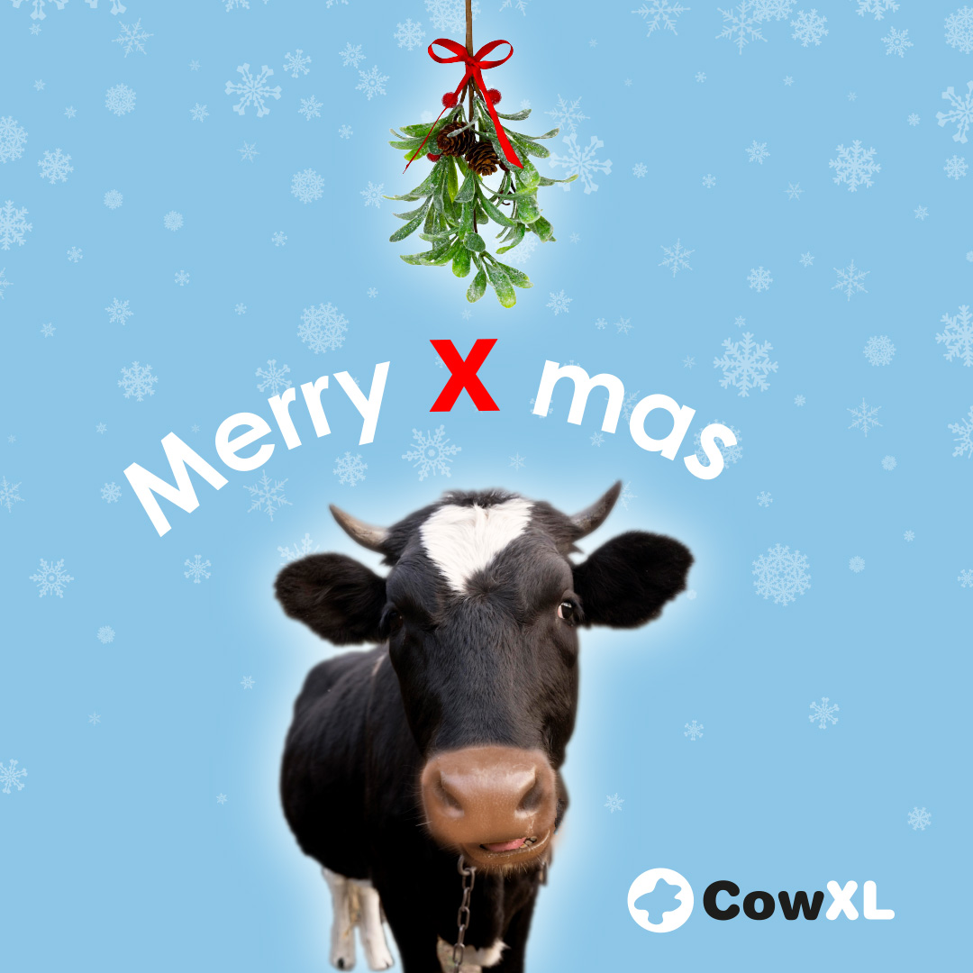 Om maar eens oude koeien uit de sloot te halen:  Iedereen fijne kerstdagen en een goed en gezond 2024 gewenst! Van 27 december t/m 5 januari is Cow XL gesloten en beperkt bereikbaar. Tot in 2024!