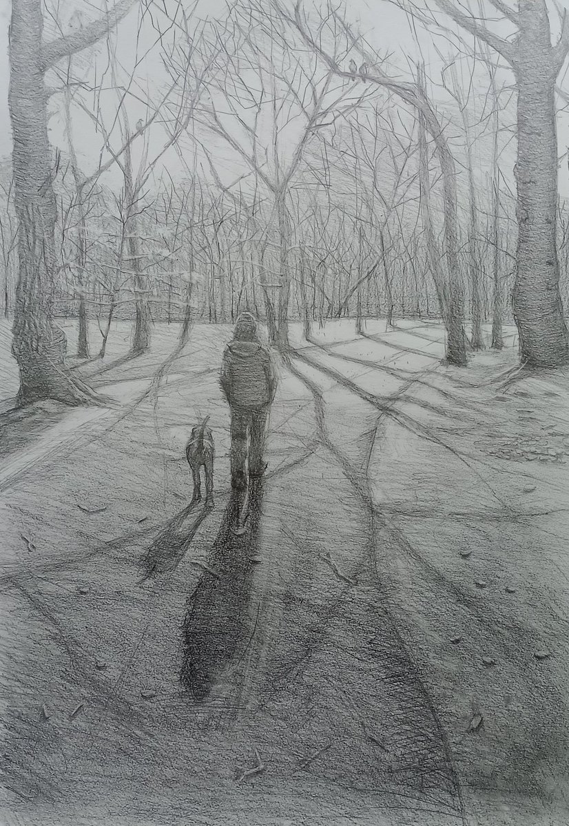 Pencil drawing of Burnham Beeches

#burnhambeeches
#trees #pencil #autumn