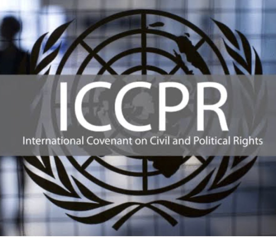 Deeply worried by reports of mishandling at #BalochLongMarch2Islamabad. Freedoms of expression, assembly and association guaranteed in arts 19, 21 & 22, resp, of the Int Covenant on Civ & and Pol Rights (ICCPR), a core measure of #GSP+ implementation. 🇵🇰 is party to the ICCPR.