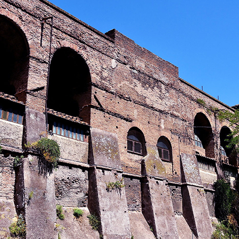 thelootverse's tweet image. The Great Wall of the North, located along the coast in the Great Empire. The wall served to keep out large marine creatures. #ParallelWorldHistory #VirtualLife #ExploreArcadia
