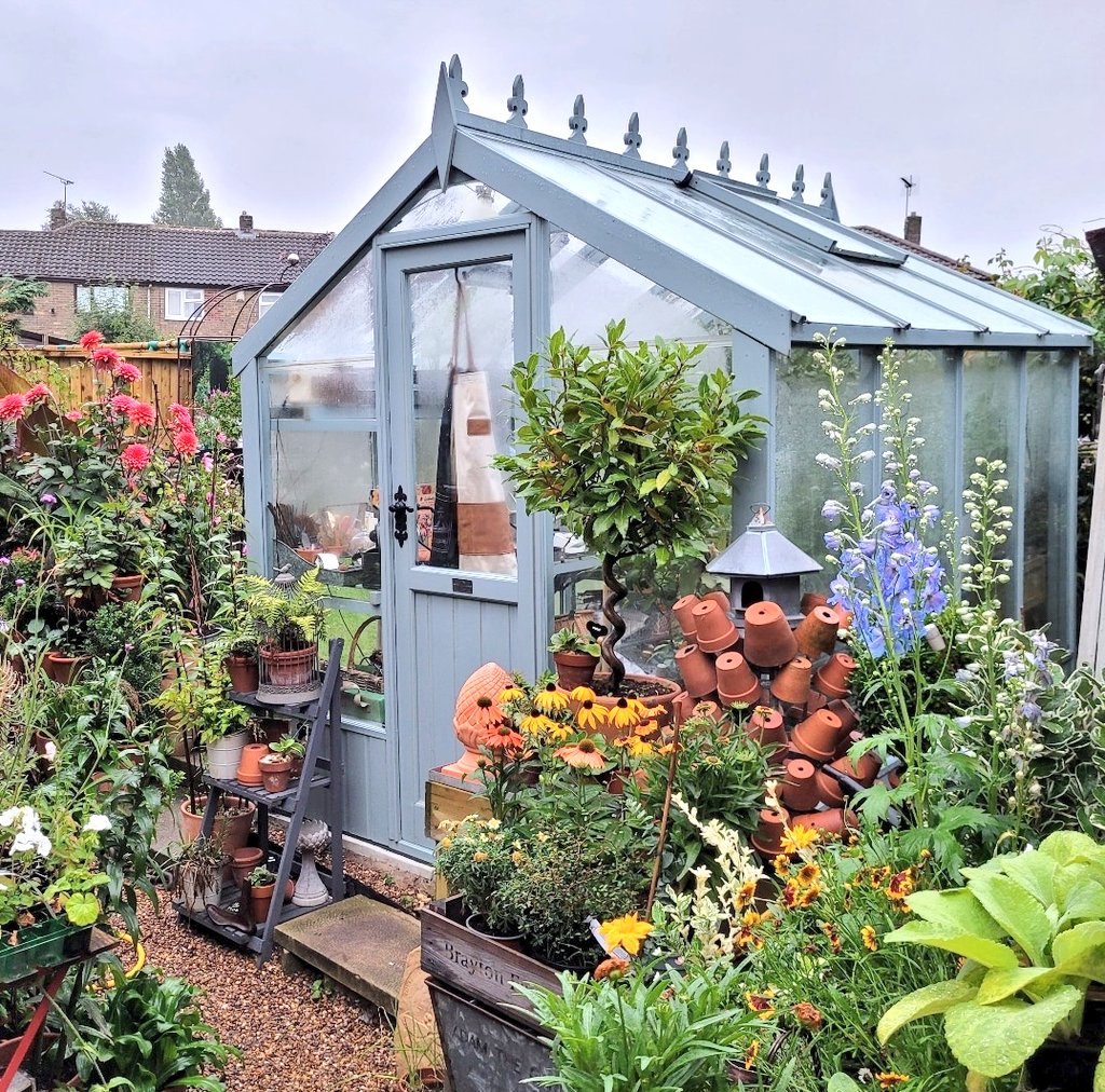 Morning all. Probably my last post before Christmas so would like to wish everyone a very Happy Christmas & a wonderful 2024. Thought I would post my favourite image of the greenhouse too.