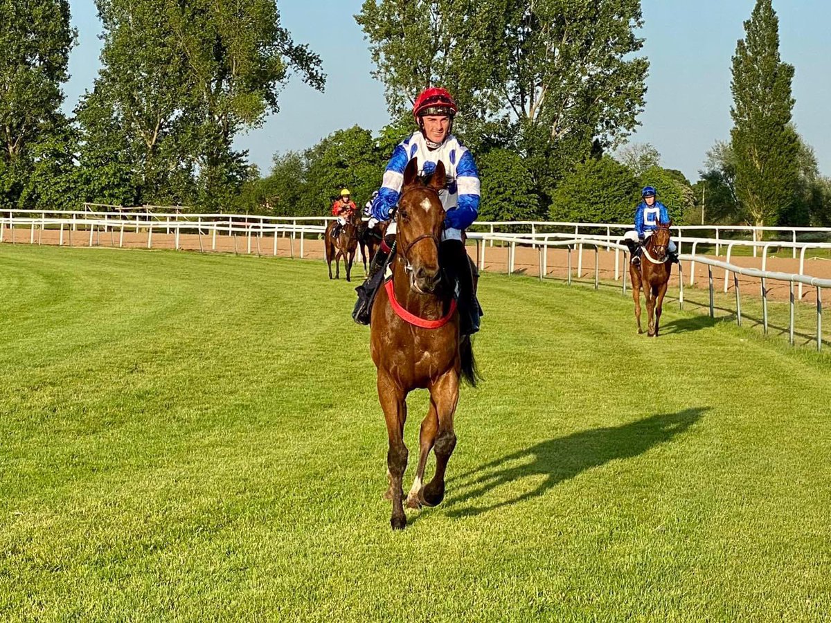 Exciting runner today - Mr Zippi returns in the Listed Bumper @Ascot . @nathanmoscrop on board . Zippi is 2-2 so far, does everything so easily at home so deserves his place in the race .