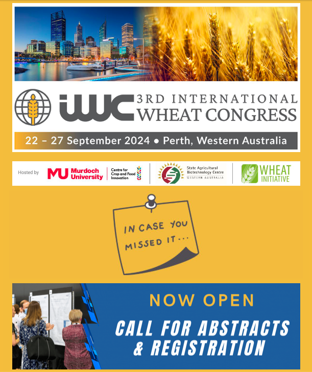 Wheat Initiative tweet media