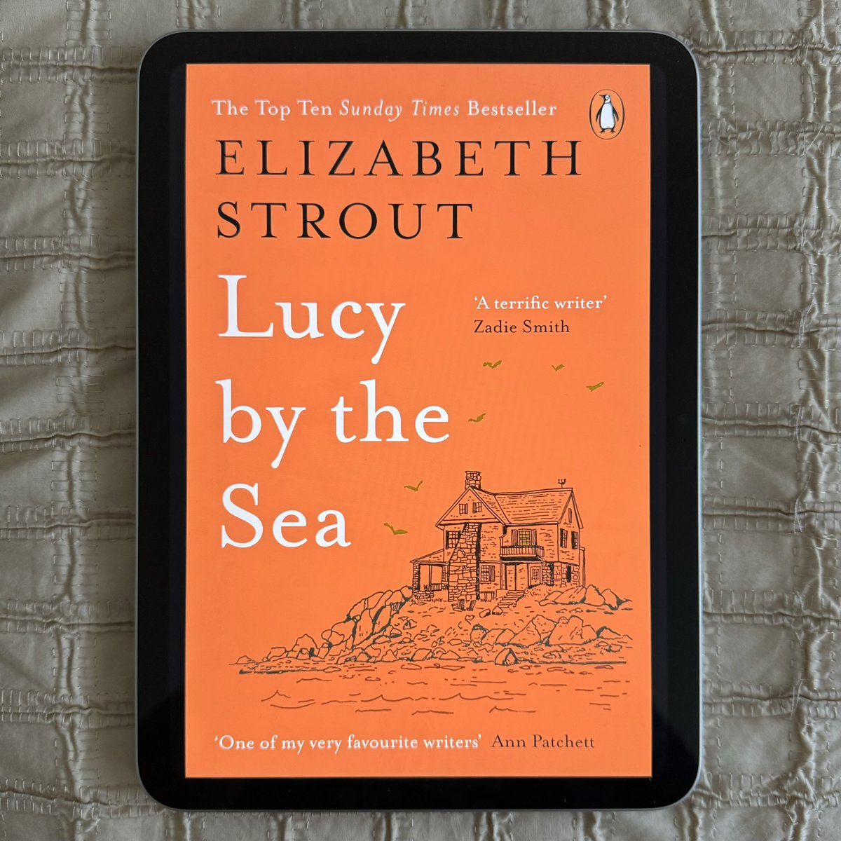 nomad_penguin's tweet photo. A particularly evocative lockdown novel, even for a reader who was barely touched by it. Lucy has such a distinctive voice, and some striking insights into American politics. #read2023 https://t.co/Adgn8j8jFB